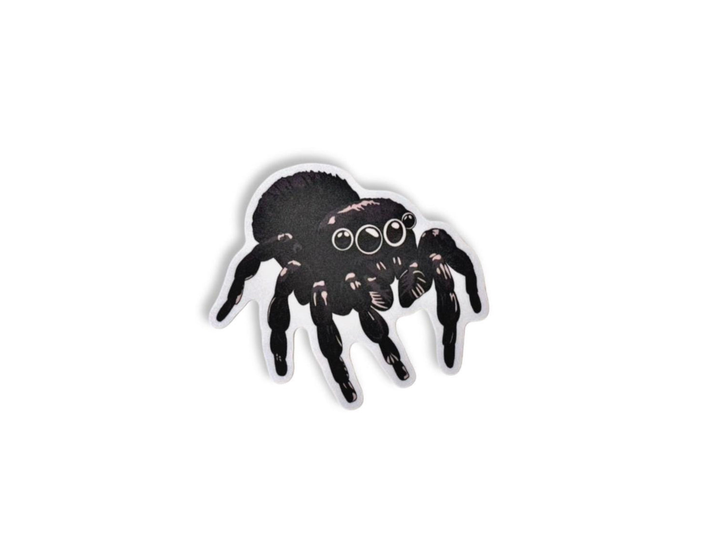 Jumping spider | Sticker