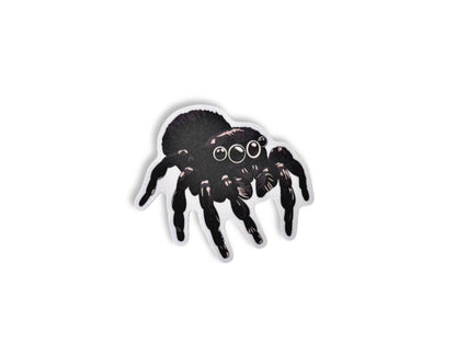Jumping spider | Sticker