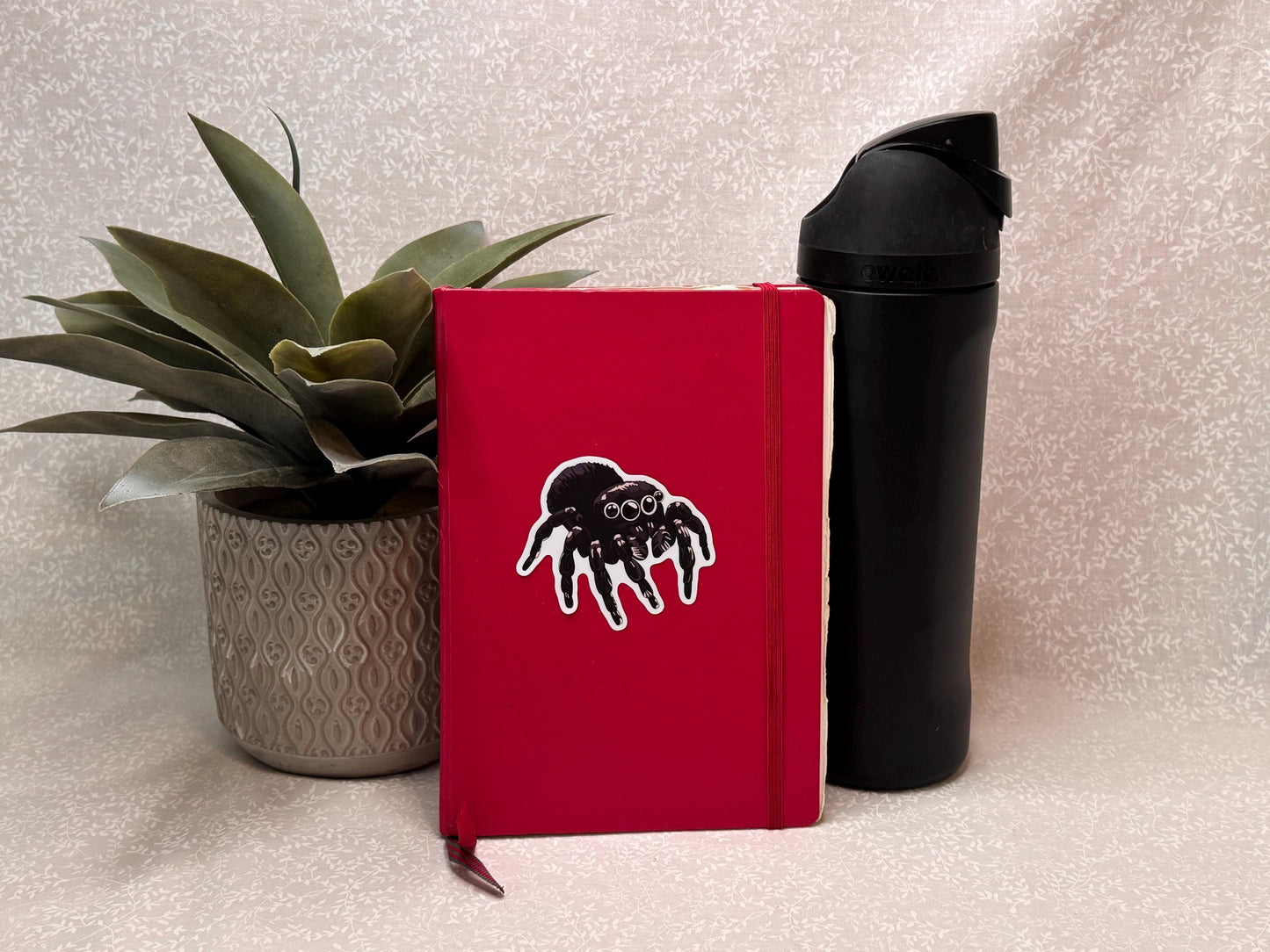 Jumping spider | Sticker