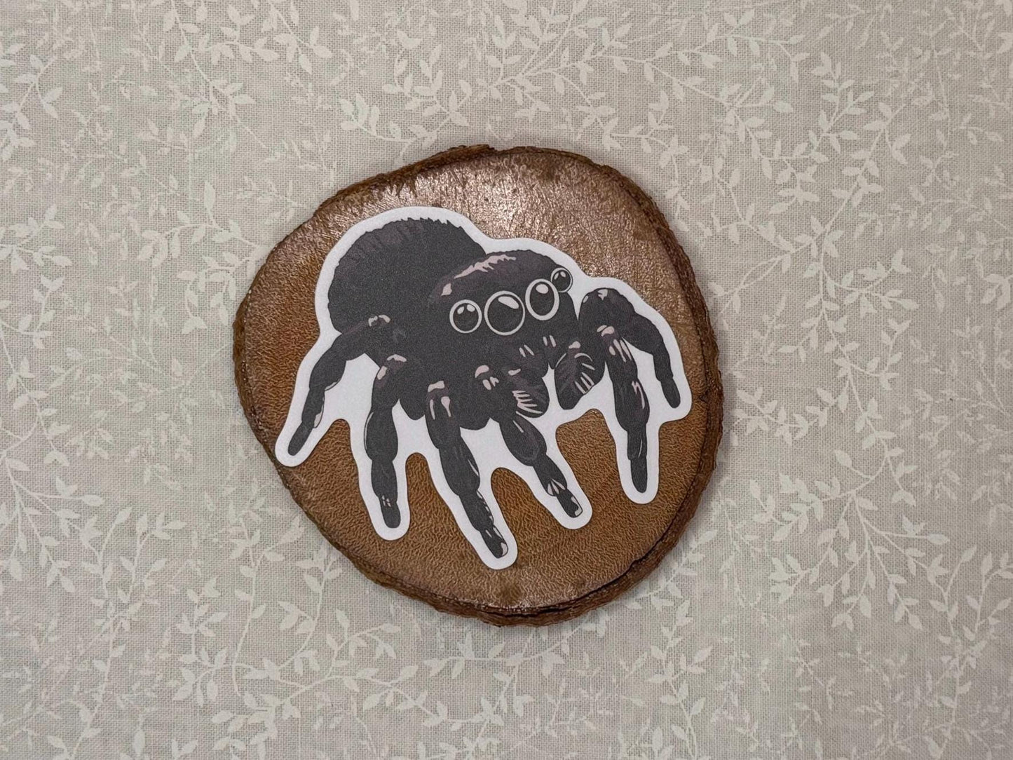 Jumping spider | Sticker