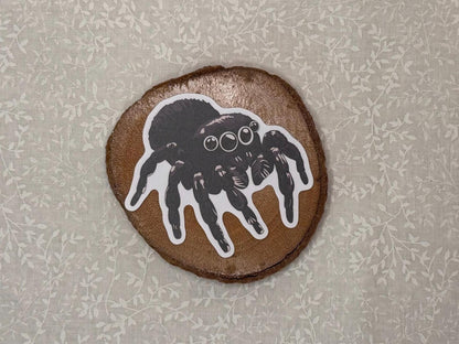 Jumping spider | Sticker